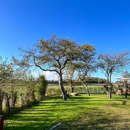 Ferienwohnung „Klueterkamer“ - Hof Muehlenkoppel Hasselberg  Zewnętrze zdjęcie